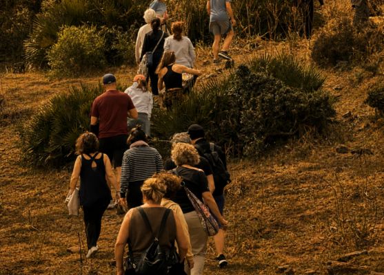 Retiro de yoga en la naturaleza